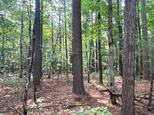 TBD Highway 371, Rosston, AR, 71858 | Card Image