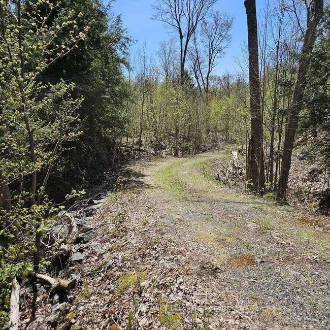 26 Fox Farm Rd, Home with 0 bedrooms, 0 bathrooms and 10 parking in McKellar ON | Image 13