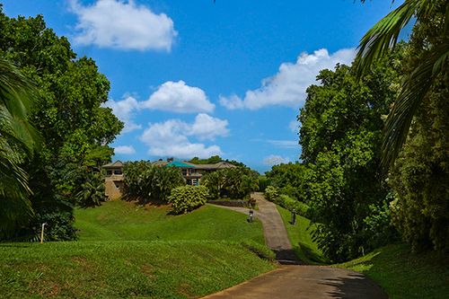 4700 Kapuna Rd, KILAUEA, HI, 96754-5505 | Card Image