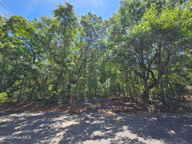 4 Creeping Cucumber Ct, Home with 0 bedrooms, 0 bathrooms and null parking in Bald Head Island NC | Image 4