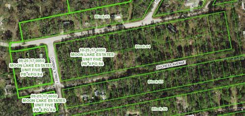 13027 Duchess Ave, New Port Richey, FL, 34654-2405 | Card Image