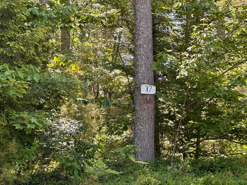 00 Benjamin Wentworth Dr, Chocorua, NH, 03817 | Card Image