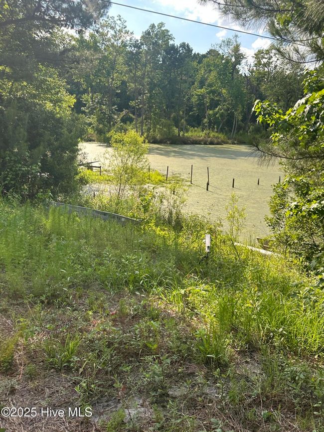 0000 Hubert Blvd, Home with 0 bedrooms, 0 bathrooms and null parking in Hubert NC | Image 9