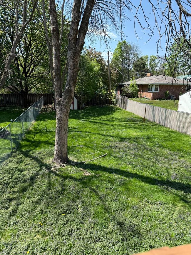 Backyard.jpeg | Image 12