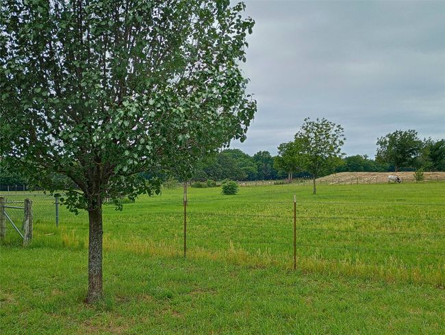 1300 Knob Rd, House other with 3 bedrooms, 2 bathrooms and null parking in Springtown TX | Image 8