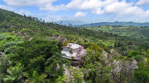 PR-184 Guavate, CAYEY, PR, 00736 | Card Image