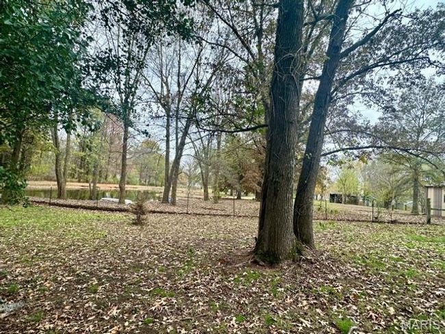 View of yard | Image 12