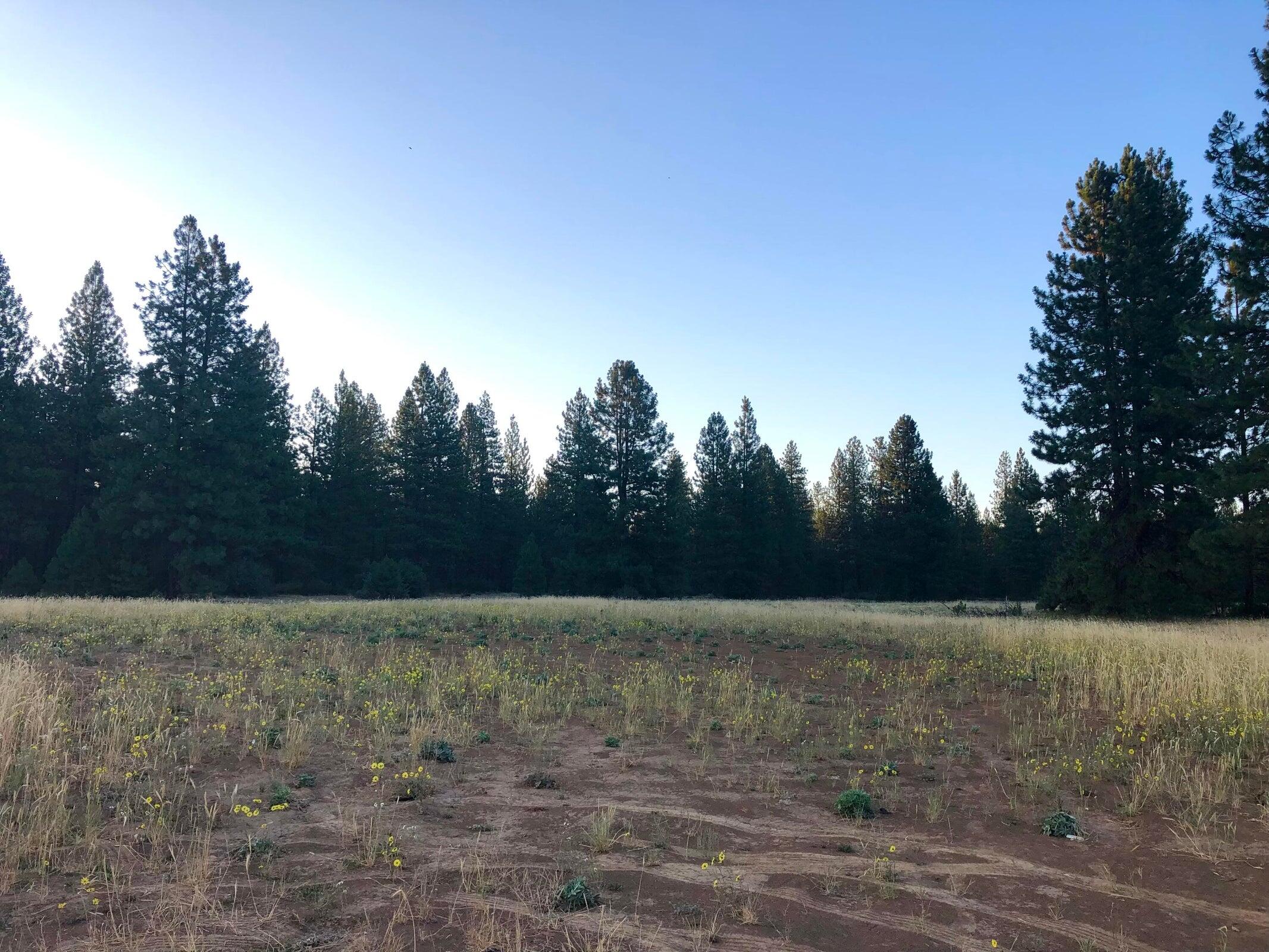 Land in Burney