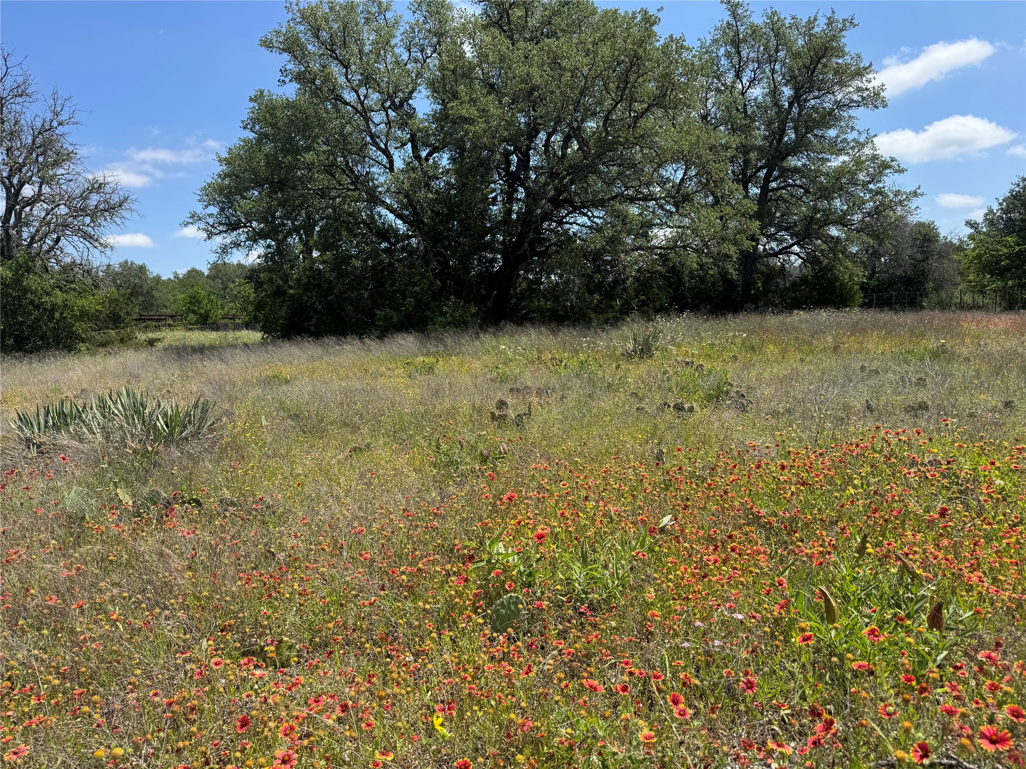 Land in Weatherford 4