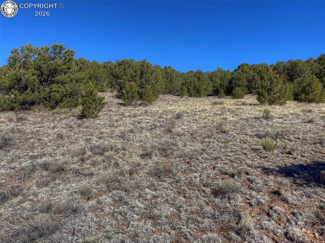 Land in Westcliffe 2