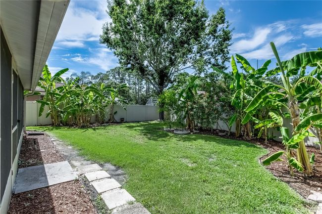 12335 Glenfield Ave, House other with 3 bedrooms, 2 bathrooms and null parking in TAMPA FL | Image 18