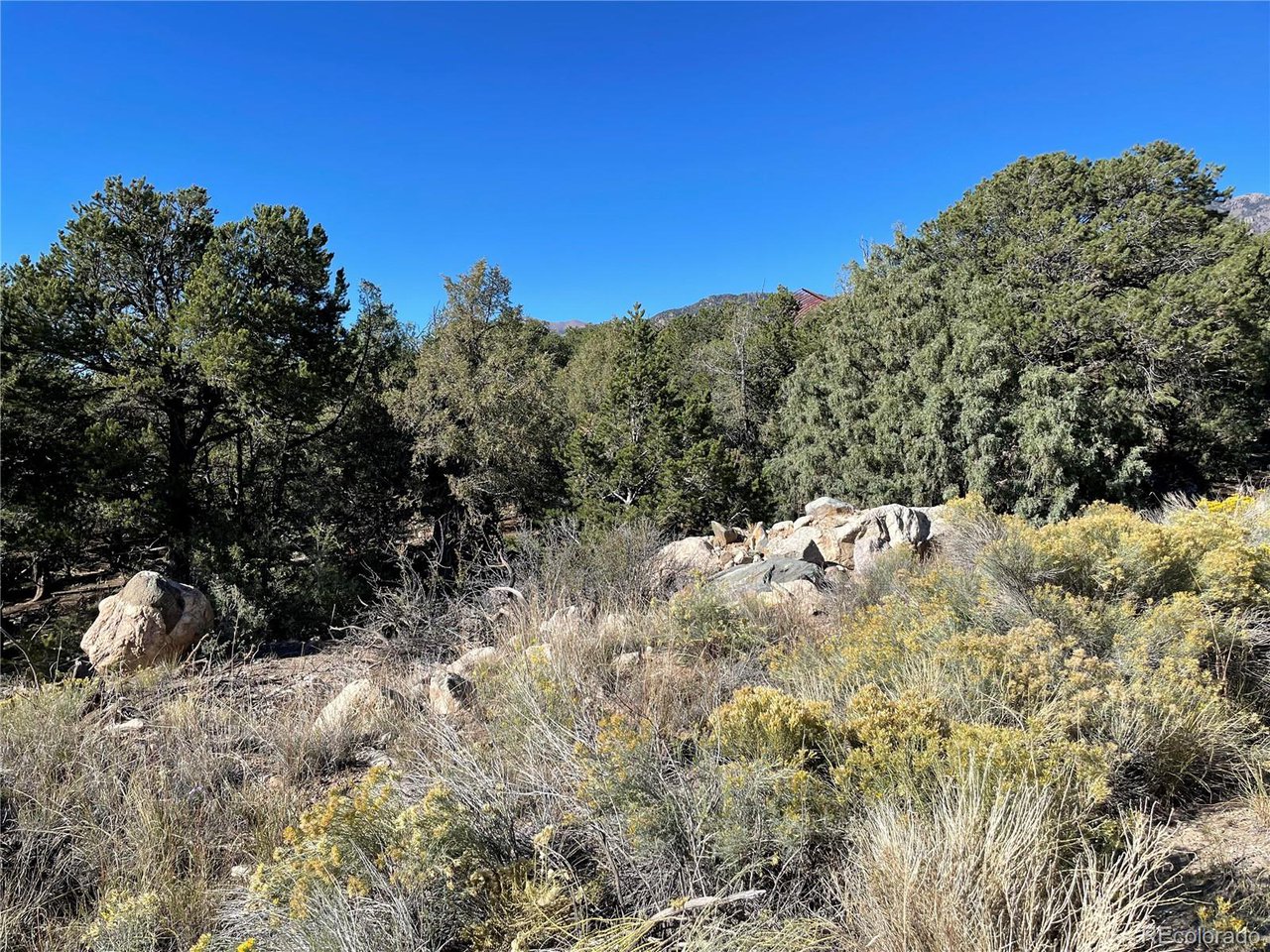 Land in Crestone