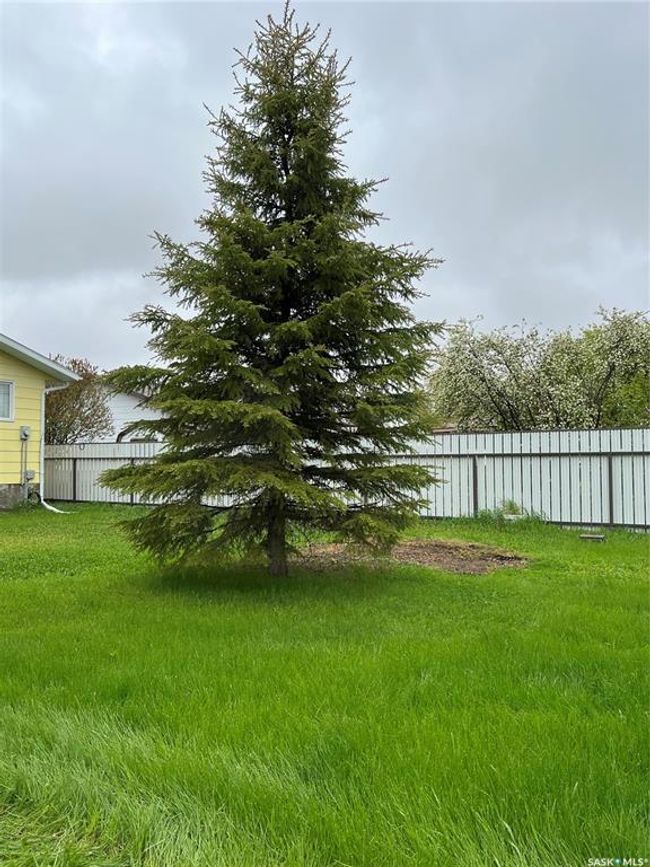 206 2 Nd St W, House other with 5 bedrooms, 2 bathrooms and 4 parking in Wilkie SK | Image 31