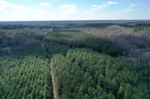 0 Moore Rd, Holly Springs, MS, 38635 | Card Image