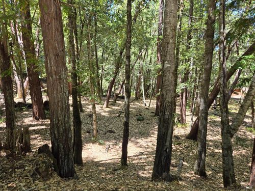 1694 Ponderosa Rd, Willits, CA, 95490-9471 | Card Image