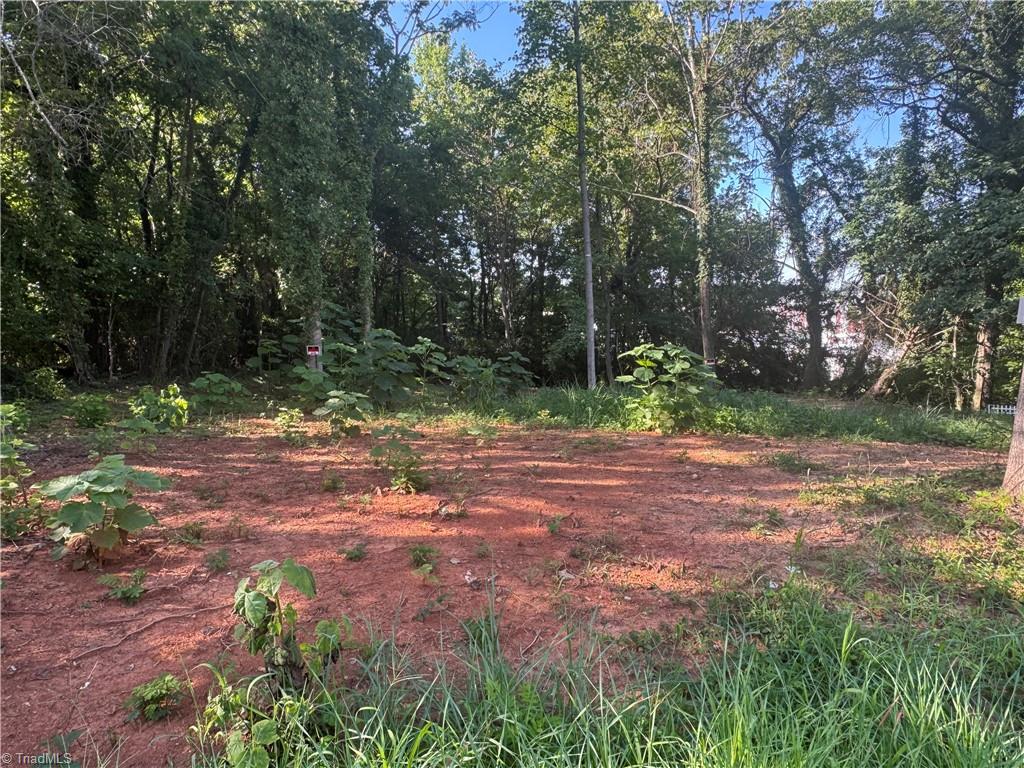 Land in High Point 2