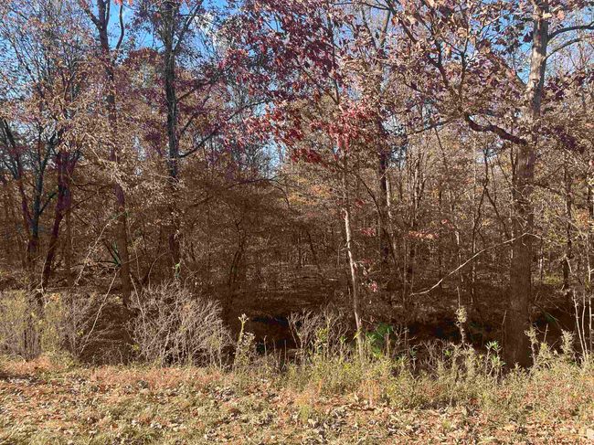 0000 Highway 56, Home with 0 bedrooms, 0 bathrooms and null parking in Russellville AL | Image 17