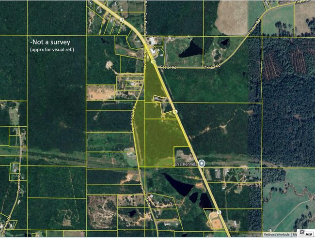 000 Highway 15, Home with 0 bedrooms, 0 bathrooms and null parking in Downsville LA | Image 4