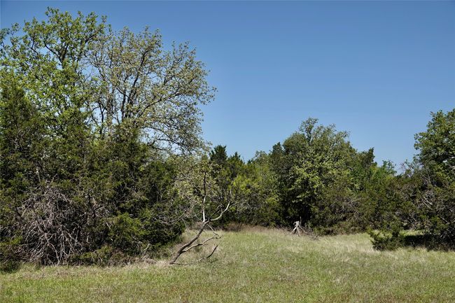 12345 County Road 107, Home with 0 bedrooms, 0 bathrooms and null parking in Mingus TX | Image 23