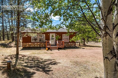 331 Rhyolite Lane, Florissant, CO, 80816 | Card Image