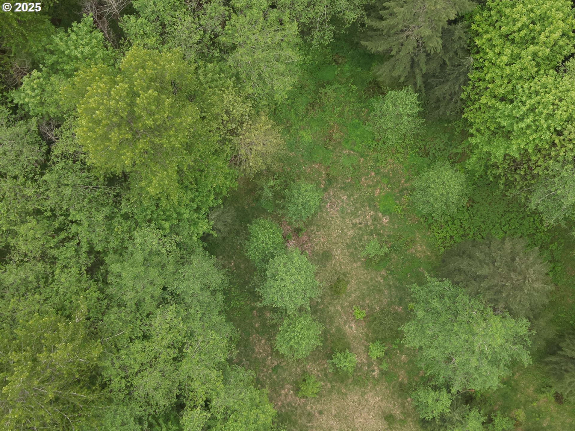 Land in Welches 2