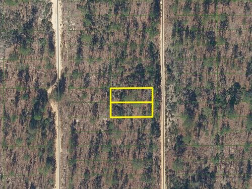 423 Dothan St, INTERLACHEN, FL, 32148 | Card Image