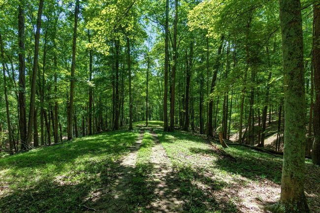 58501 Us Highway 50, Home with 0 bedrooms, 0 bathrooms and null parking in Mc Arthur OH | Image 71