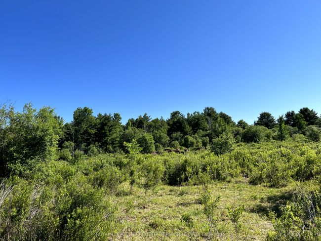 10138 Highway 64 N/A S, Home with 0 bedrooms, 0 bathrooms and null parking in West Nipissing ON | Image 5