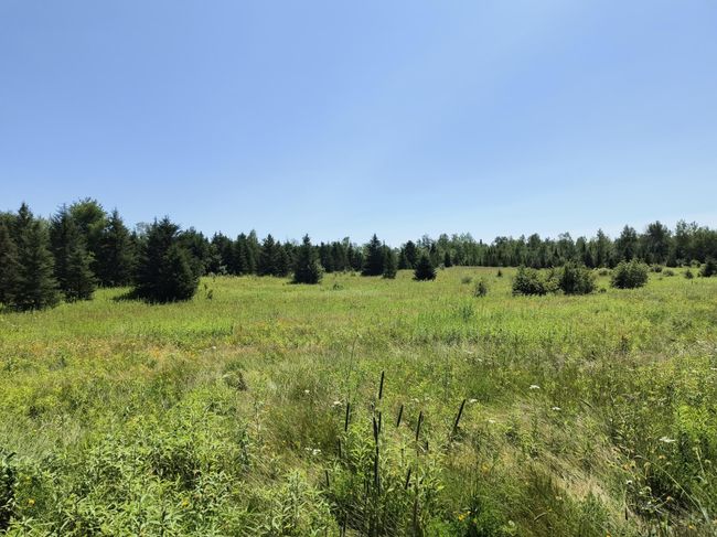 16499 Hwy 45, Home with 0 bedrooms, 0 bathrooms and null parking in Bruce Crossing MI | Image 19
