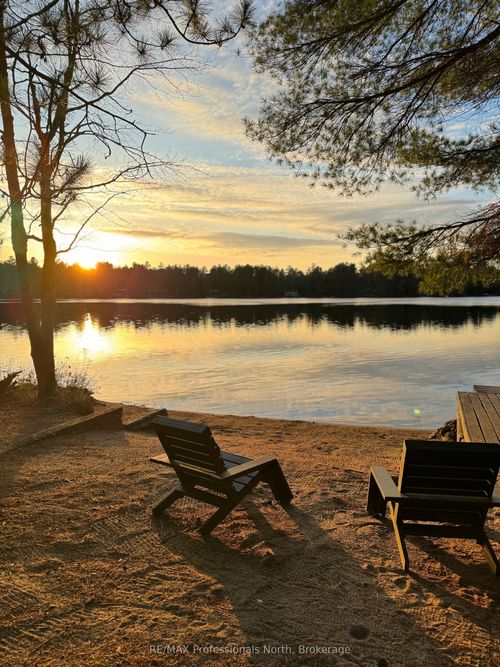 1036 Barbara Rd, Harcourt, ON, K0L1M1 | Card Image