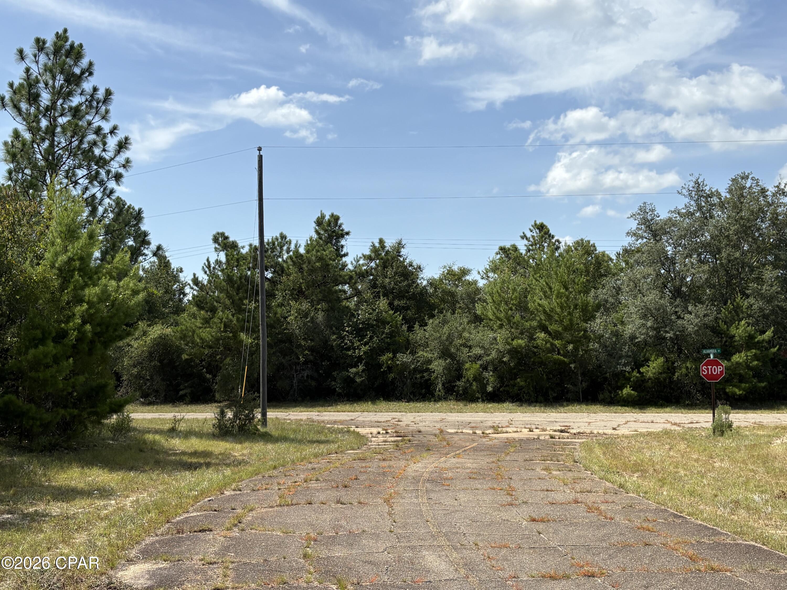 Land in Chipley 4