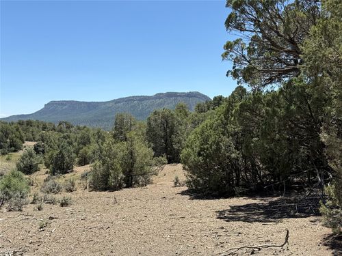0 Christy Lane, Los Ojos, NM, 87551 | Card Image