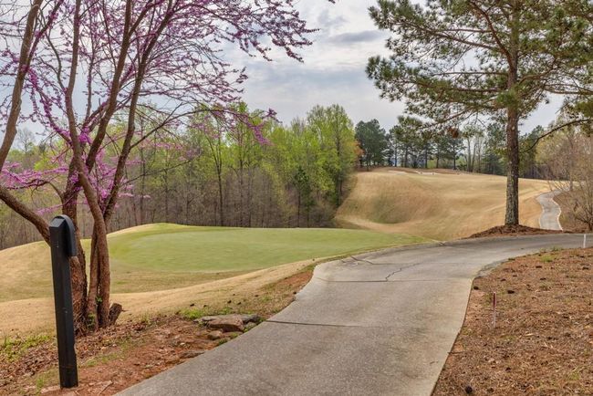 102 - 17 Cottage Ln, Condo with 2 bedrooms, 2 bathrooms and 2 parking in Toccoa GA | Image 35