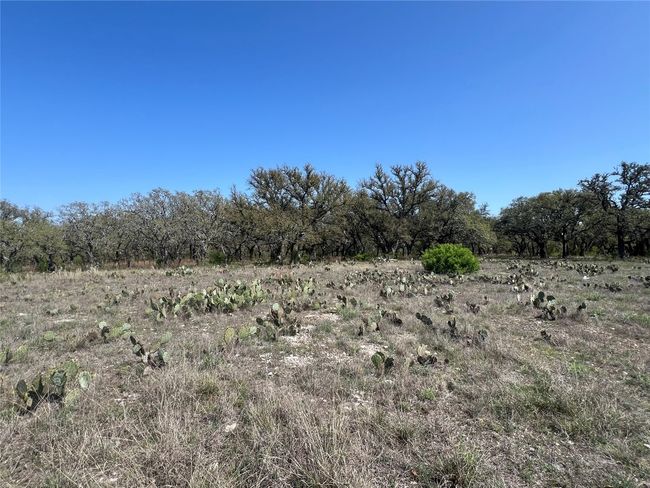42 N Waterbuck Way, Home with 0 bedrooms, 0 bathrooms and null parking in Lampasas TX | Image 6