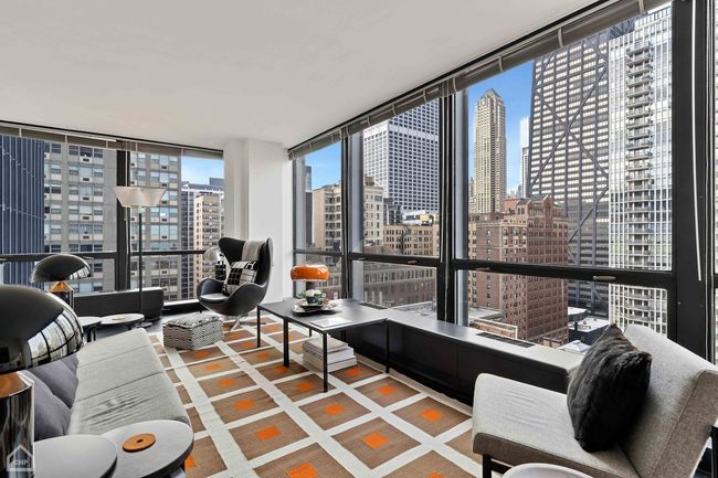 APT-1716 - 910 N Lake Shore Dr, Condo with 1 bedrooms, 1 bathrooms and 1 parking in CHICAGO IL | Image 9