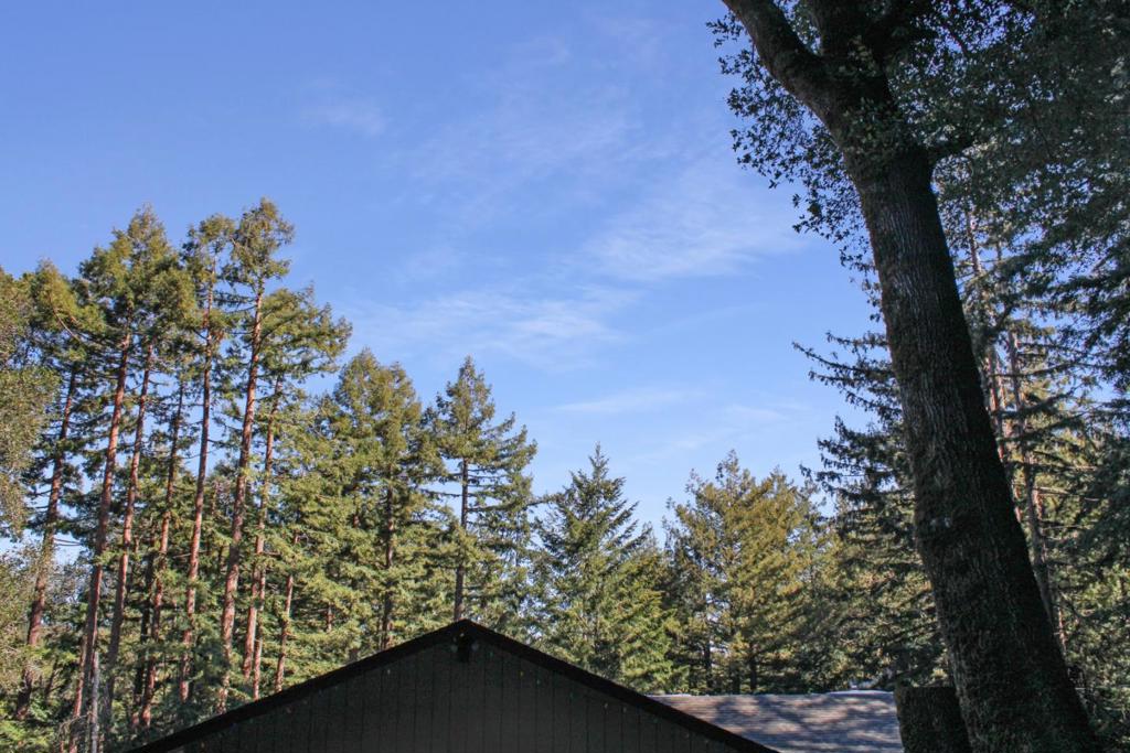 Residential in Boulder Creek 2