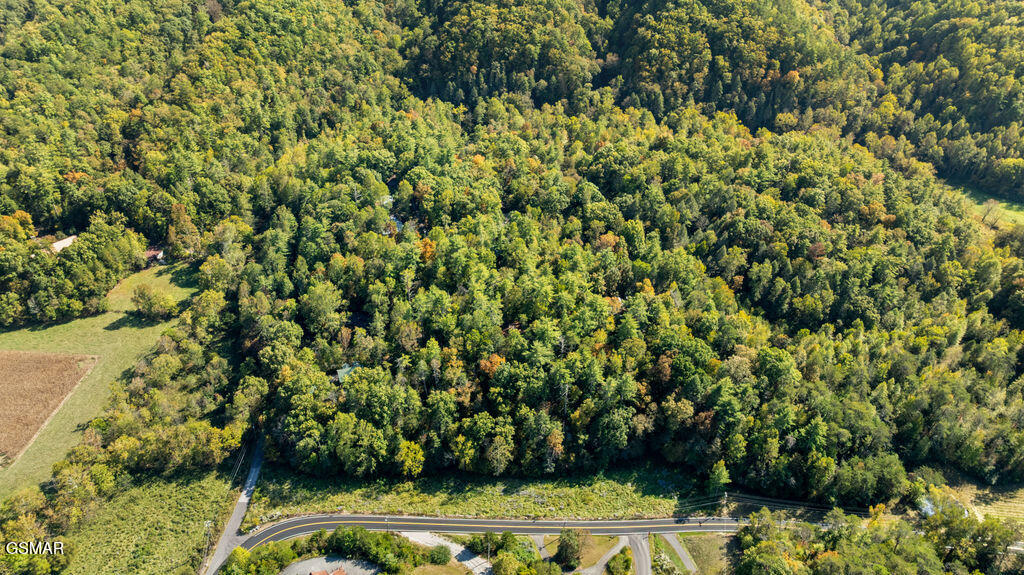 Land in Sevierville 4