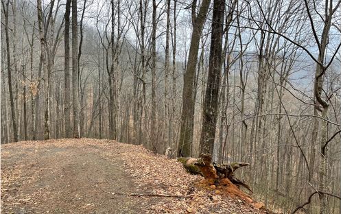 Lot 18 Shooting Creek Bend Ln, Hayesville, NC, 28904-5348 | Card Image