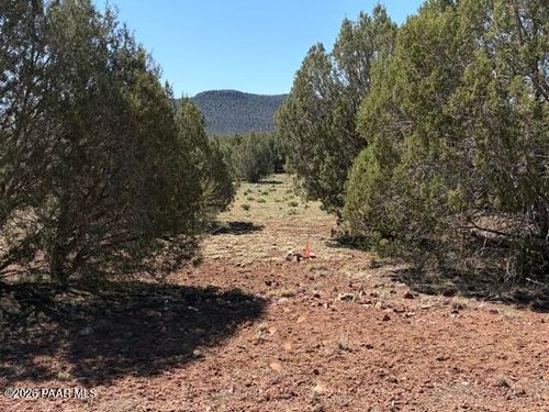 Lot 851 Fort Rock Road, Seligman, AZ, 86337 | Card Image