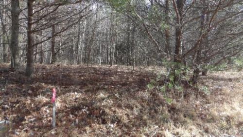 Lot 185 Meadow Lane, Spencer, TN, 38585 | Card Image