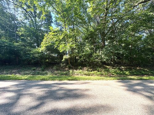 Lot 90 Lake Thunderbird Drive, Tiskilwa, IL, 61368 | Card Image