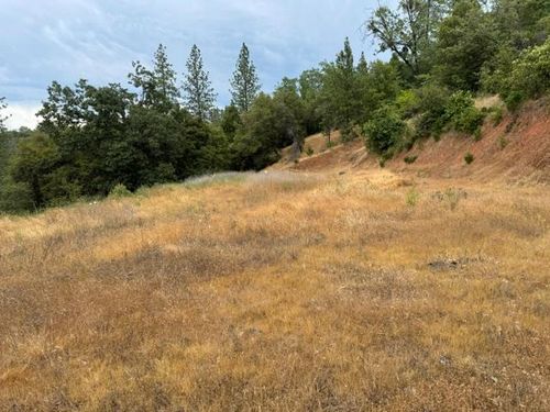 6019 Pappalardo Prominade, Murphys, CA, 95247 | Card Image