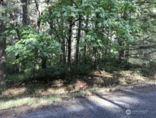 10602 Madrona Dr, Anderson Island, WA, 98303-9710 | Card Image