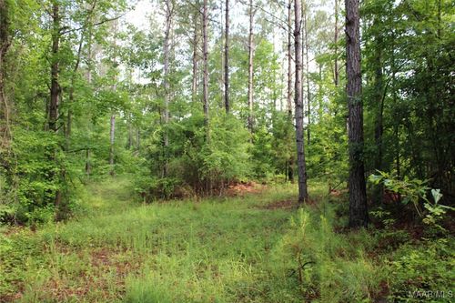 0 Providence Road, Rockford, AL, 35136 | Card Image
