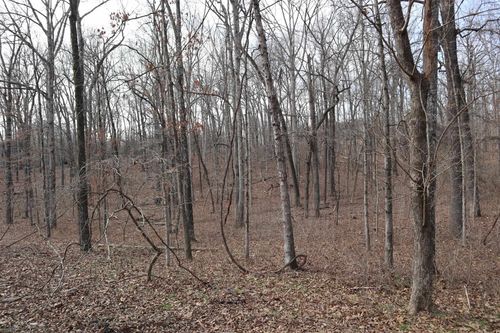 TBD Great Woods Rd, Mammoth Spring, AR, 72554 | Card Image