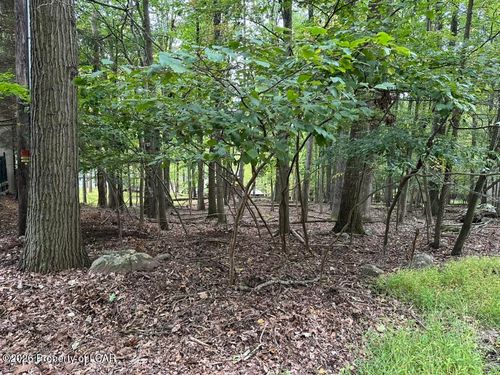 39 Bear Run Dr, DRUMS, PA, 18222 | Card Image