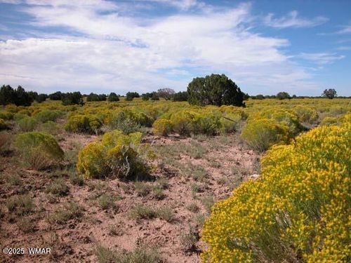 409-0 Bar Nothing Ranch Rd, Chambers, AZ, 86502 | Card Image