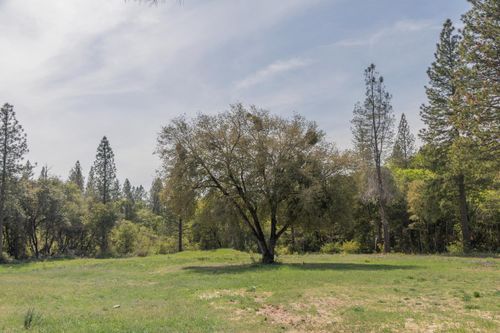 00 Greenbush Rd, Forbestown, CA, 95941 | Card Image