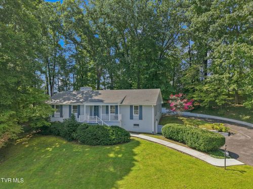 599 Green Hill Road, Bristol, VA, 24201 | Card Image