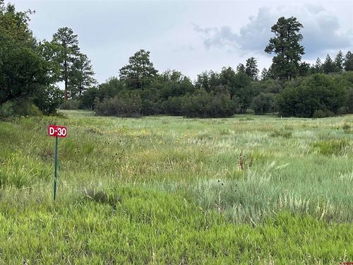 1084 Crowley Dr, Chromo, CO, 81128 | Card Image